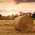 Ruim 1100 Overijsselse boeren kunnen meedoen aan duurzame regeling
