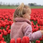 Het versterken van wijken en dorpen in de gemeente Raalte