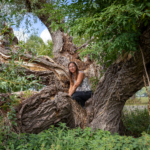 Winnaars fotowedstrijd ‘Meest geliefde boom van Overijssel’ bekend
